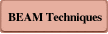 BEAM Techniques