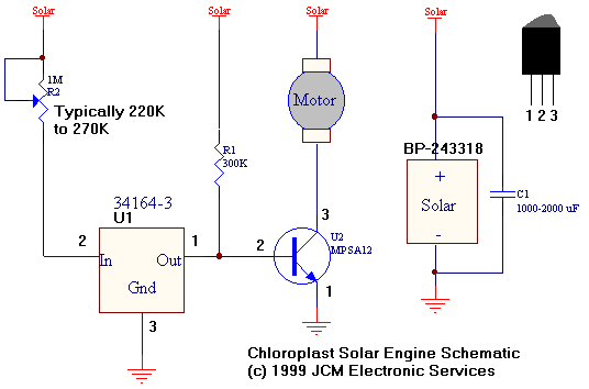 chloroplast schematic