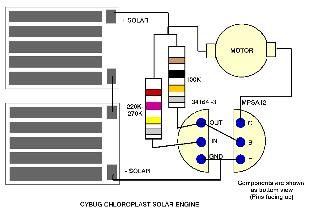 chloroplast free-form layout